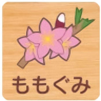 平付型木製サイン 600番台(草花) フジタ[室名札・標識]