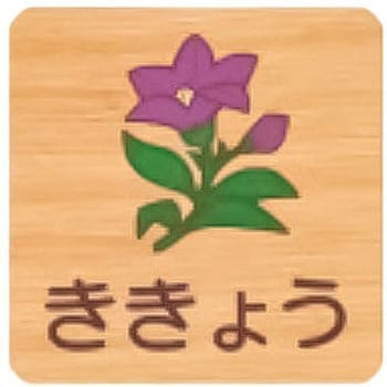 平付型木製サイン 400番台(草花) フジタ[室名札・標識]