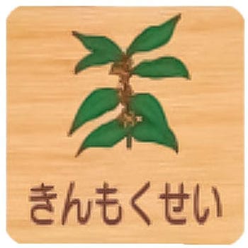平付型木製サイン 400番台(草花) フジタ[室名札・標識]