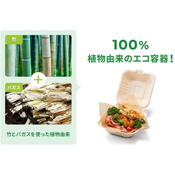 惣菜容器 新BBランチ 180-130 50枚×12パック入 PackStyle(パックスタイル)