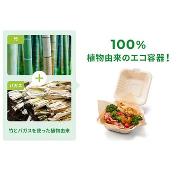 弁当容器 BBランチ135-115 50枚×12パック入 パックスタイル