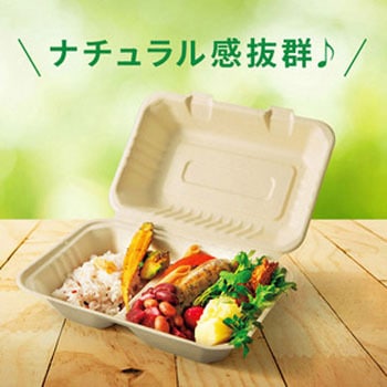 弁当容器 BBランチ135-115 50枚×12パック入 パックスタイル