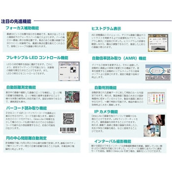 ディノライト ディノライト