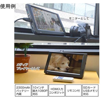 ディノライト ディノライト