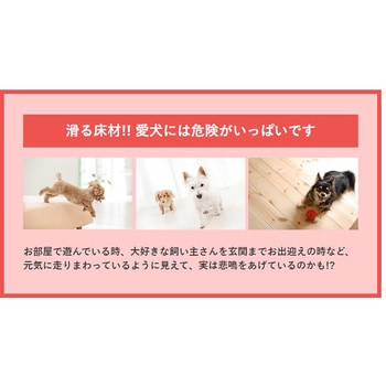 滑り止め 床用コーティング剤 15畳用 リンレイ