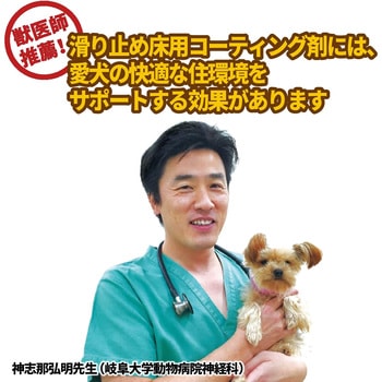 滑り止め 床用コーティング剤 シートタイプ リンレイ