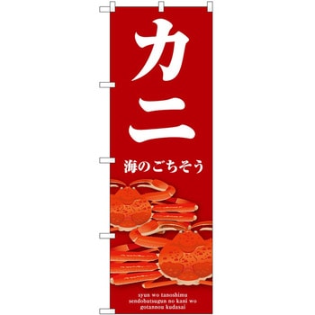 2016926 ̂ڂ n  PEOEPg[fBO Jj c1800mm600mm 61210531