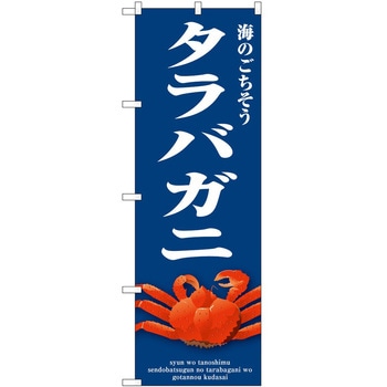 2016924 ̂ڂ n  PEOEPg[fBO ^oKj c1800mm600mm 61210549