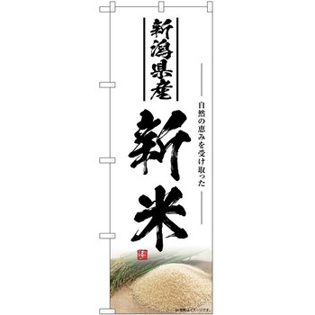 2013990 ̂ڂ ` PEOEPg[fBO VĐVY c1800mm600mm 61230438