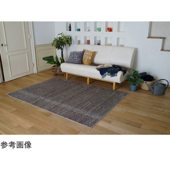 防炎 防音 ナイロンラグ リュストル スミノエ