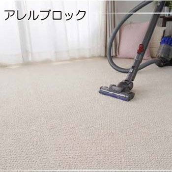 ピースカーペット ポルコ 江戸間タイプ 13472828シリーズ スミノエ