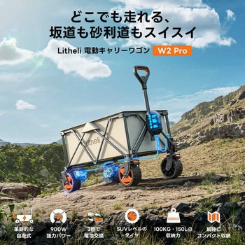 電動キャリーワゴン Litheli