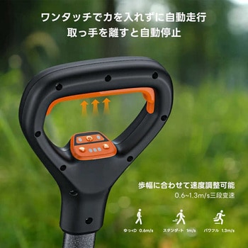 電動キャリーワゴン Litheli