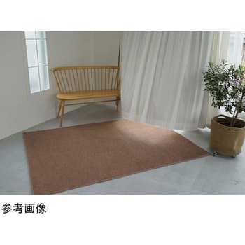 防炎 ラグ エコロア 13124609シリーズ スミノエ