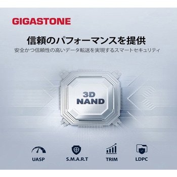 2in1超小型高速ポータブルSSD  3年保証 Gigastone