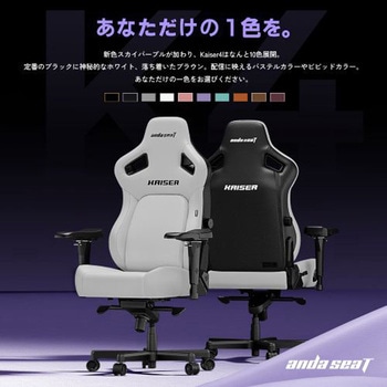 KAISER 4 ゲーミングチェア - Andaseat(アンダシート)