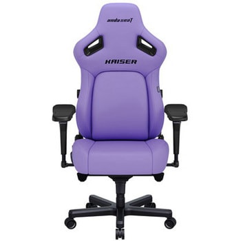 AD12YDDC-L-20-V-PV/C KAISER 4 Q[~O`FA Andaseat(A_V[g) 61266400