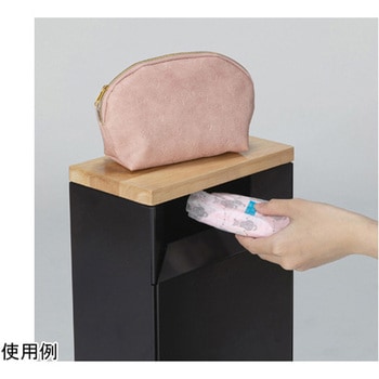 サニタリースリムボックス DSシリーズ テラモト