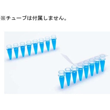 SureSeal Thermal Single Strips BMEEXC0017シリーズ ビーエム機器
