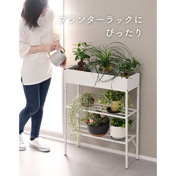玄関収納ラック シューズラック YAMAZEN(山善)