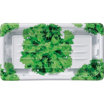 20-11(20) �����[�t MSD�v���C�� �G�t�s�R 61316108