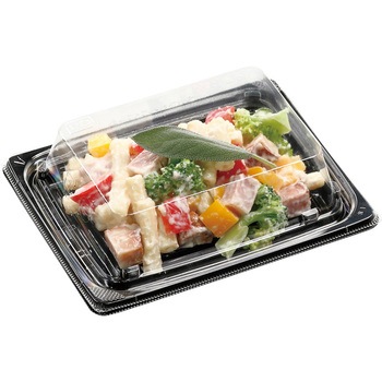 APプレイン エフピコ