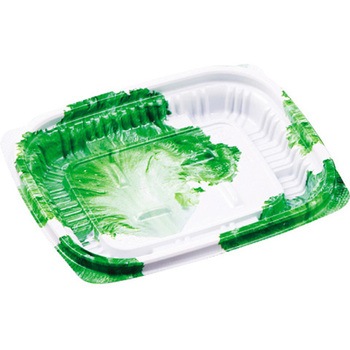 13-11(17) G���^�X MSD�y�� �G�t�s�R 61322968