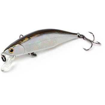 WAK ���J�T�M Meteora(���e�I�[��)52 JACKSON �V���L���O�^�C�v WAK ���J�T�M�F 61325025