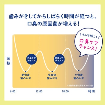 どこでもベープ未来蚊取り フマキラー