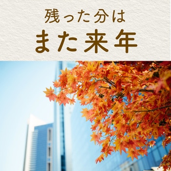 どこでもつかえるアースノーマット アース製薬