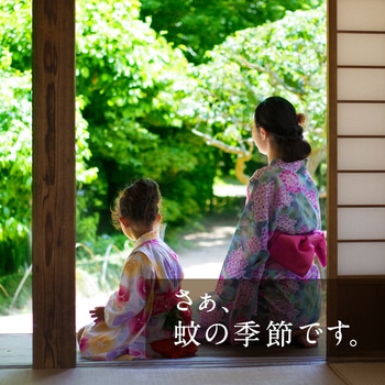 どこでもつかえるアースノーマット アース製薬