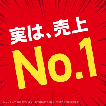 アース虫よけネットEX アース製薬