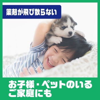 アリの巣コロリ アース製薬