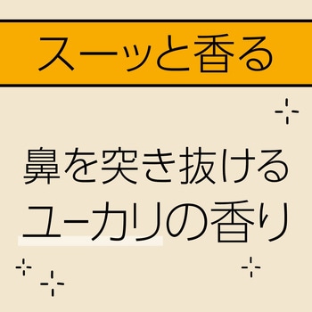 マモルームハウスダスト花粉用 アース製薬