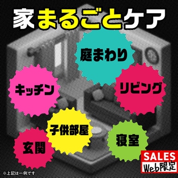 ギドラクス ハエ蚊用スプレー アース製薬