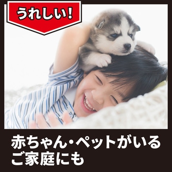 ムカデコロリ アース製薬