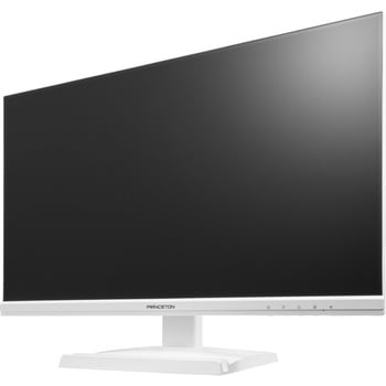 23.8型液晶モニター プリンストン