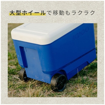 キャスター付き クーラーボックス 大型 ウィリークール38 (36L) イグルー