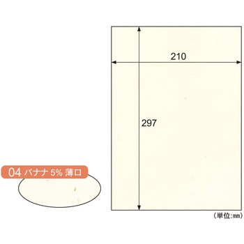 サステナブルクラッポ バナナ5%薄口 ヒサゴ