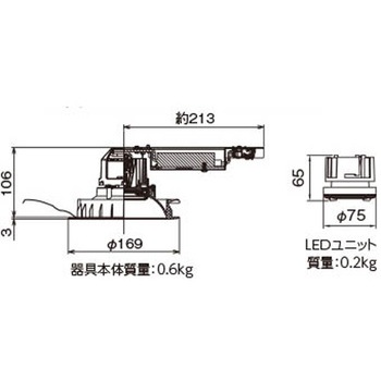 ユニット交換形DL銀色鏡面 東芝ライテック