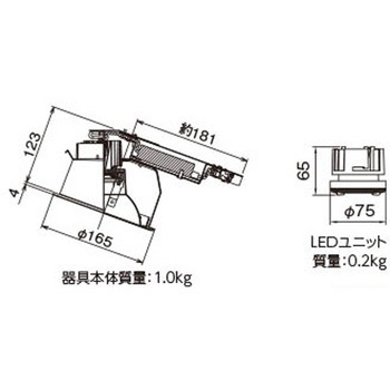 ユニット交換形DL傾斜天井 東芝ライテック
