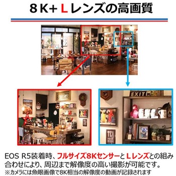 RFレンズ RF5.2mm F2.8 L DUAL FISHEYE Canon