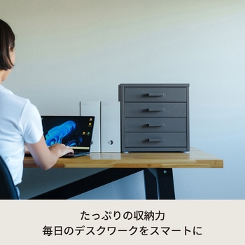 くらしのストレージボックス4段 永井興産