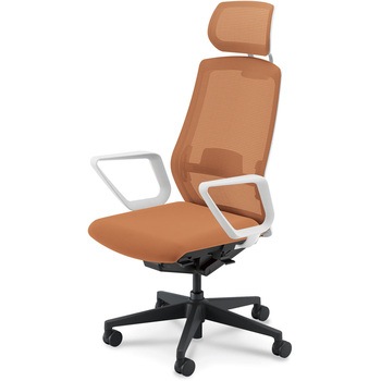 Sellezza(セレッツァ)/SA_ホワイトフレーム_ヘッドレスト付き 内田洋行