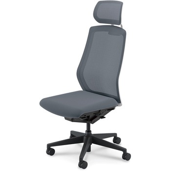 Sellezza(セレッツァ)/SA_ホワイトフレーム_ヘッドレスト付き 内田洋行