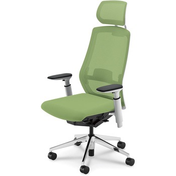 Sellezza(セレッツァ)/SA_ホワイトフレーム_ヘッドレスト付き 内田洋行