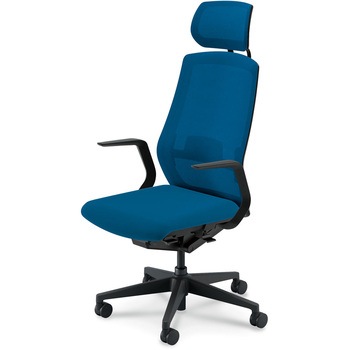 5-362-8015 Sellezza(セレッツァ)/SA_ブラックフレーム_ヘッドレスト付き 内田洋行 61489018