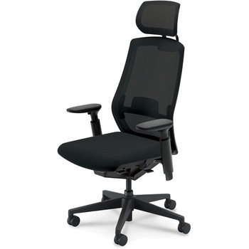 5-362-6050 Sellezza(セレッツァ)/SA_ブラックフレーム_ヘッドレスト付き 内田洋行 61489316