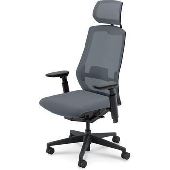 5-362-6053 Sellezza(セレッツァ)/SA_ブラックフレーム_ヘッドレスト付き 内田洋行 61489325