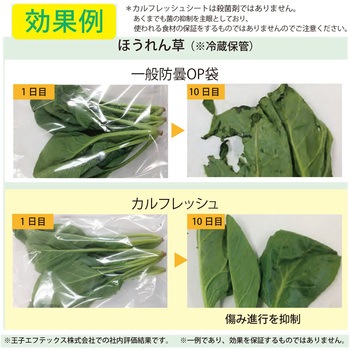 カルフレッシュ抗菌鮮度保持袋 服部